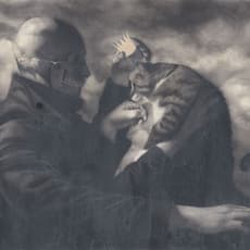 Randy Ortiz