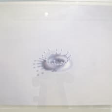 Shinji Ogawa