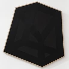 Strijdom van der Merwe