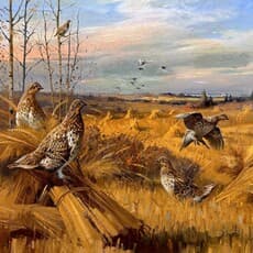 George Brown