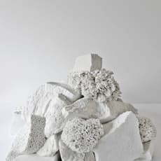 Thomas Tronel-Gauthier