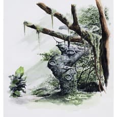 Adrián Villar Rojas