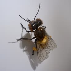 Jean-françois Fourtou