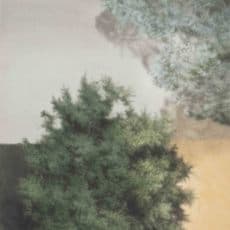 Kang Haitao 康海涛