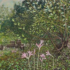 Rim Dong Sik