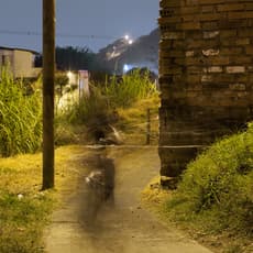 Juan Fernando Herrán