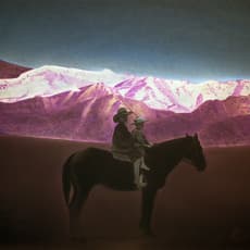 Devin Leonardi