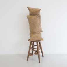 Pablo Capitán del Río