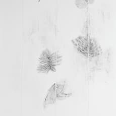 Judith Raum