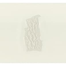 James Brooks (b. 1974)