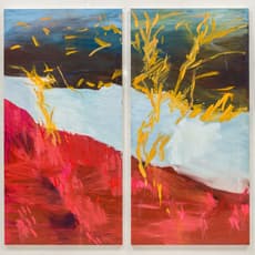 Jane Swavely