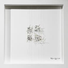 Stéphanie Guglielmetti