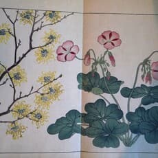 Nakano Sonoaki