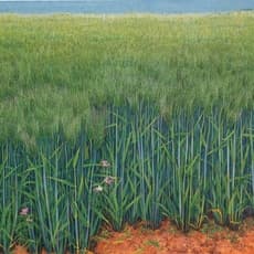 이숙자 Sook-Ja Lee