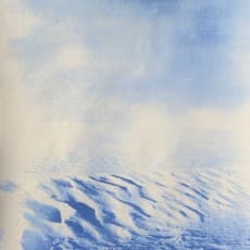 Lucia Rollow