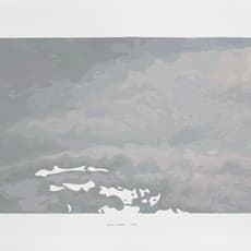 Wan Yang