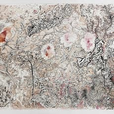 Peng Kanglong 彭康隆