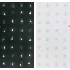 Fung Mingchip 馮明秋