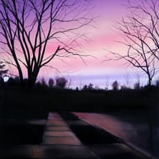 Dan Miller