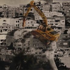 Manal Mahamid