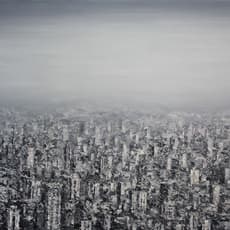 Wang Xiaoshuang 王小双