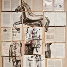 Ekaterina Panikanova