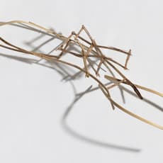 Julia Shepley