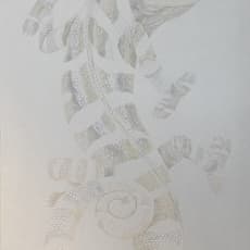 Hitomi Oshima 大嶋仁美