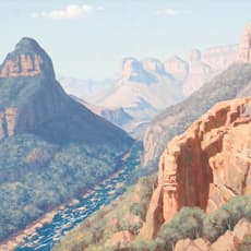 Willem Hermanus Coetzer