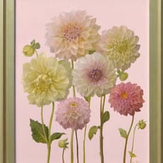 Jenny Kelley