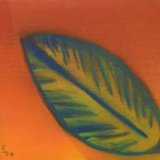 Shelia Horne