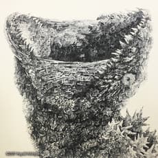 Hayaki Nishigaki