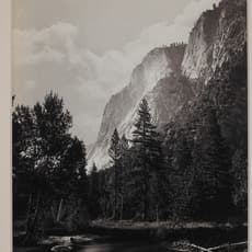 Carleton E. Watkins
