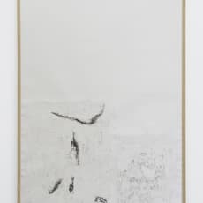 Patricia Dauder