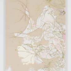 Katherine Auchterlonie