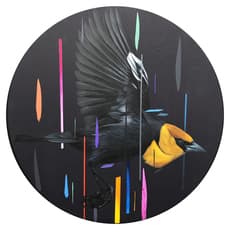 Frank Gonzalez