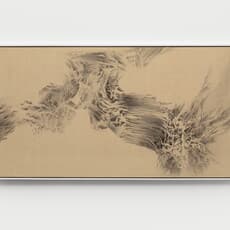 Cai Xiaosong 蔡小松