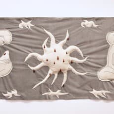 Patrycja Płóciennik