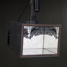 Marina Zurkow and Daniel Shiffman