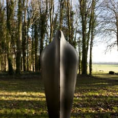 Stephen Cox