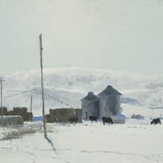 T Allen Lawson