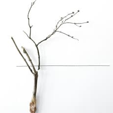 Margaux Compte-Mergier