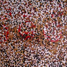 Johnny Warungkula Tjupurrula