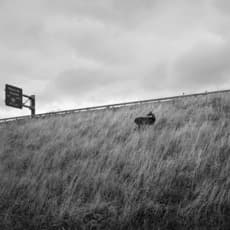 Vanessa Winship
