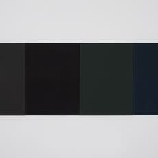 Brice Marden