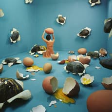 JeeYoung Lee