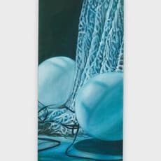 Mahrokh Mofidnakhaei