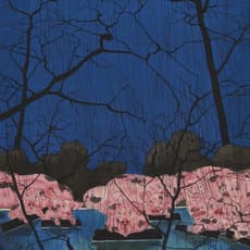 Shao Yong 邵泳