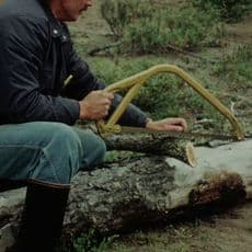 Phill Niblock