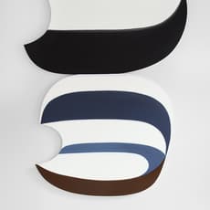 Joanna Pousette-Dart